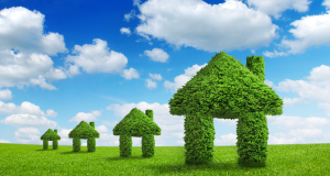 Read more about the article Green Home Improvement Tips