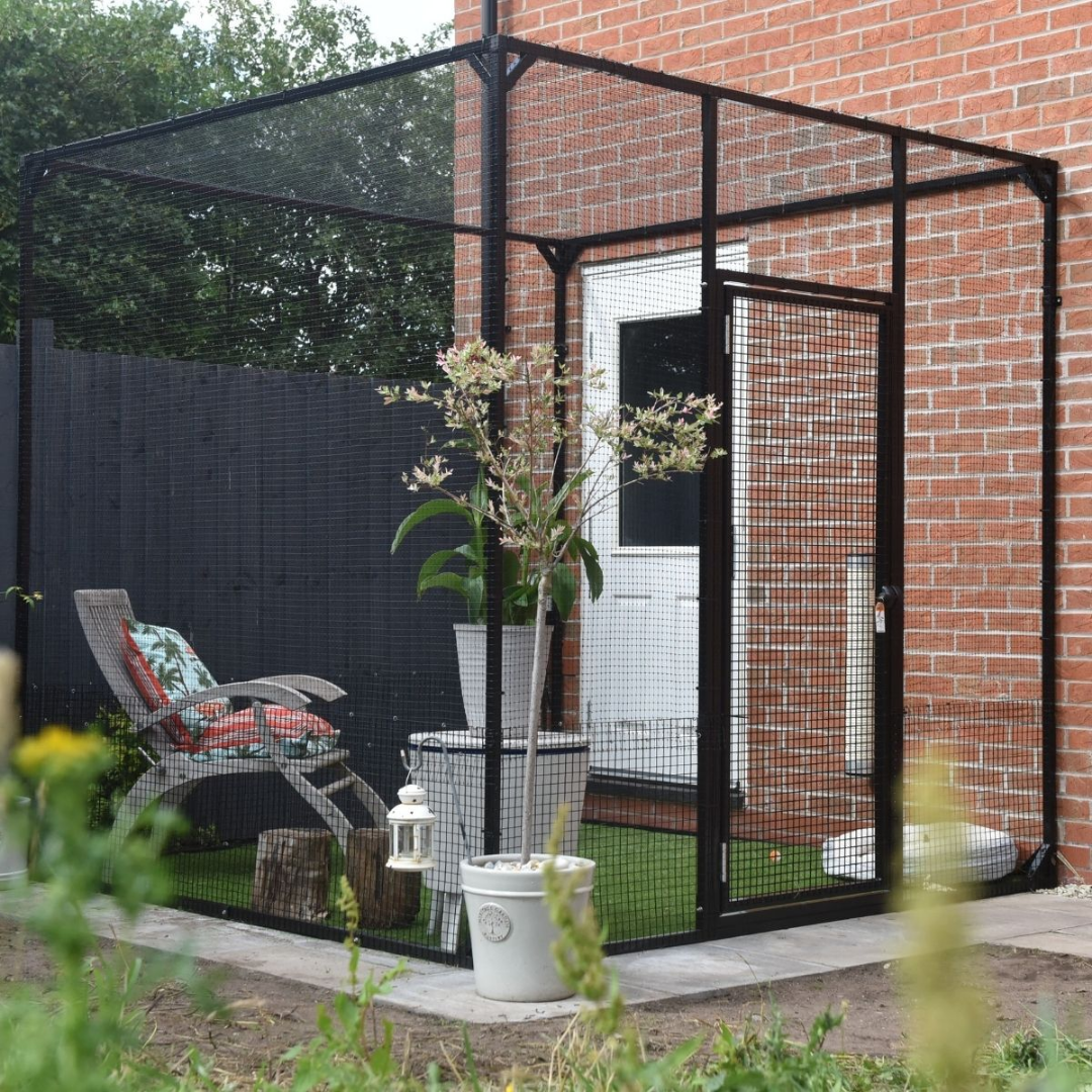 Read more about the article Why You Should Make a Catio and How It Helps Your Home and Cats