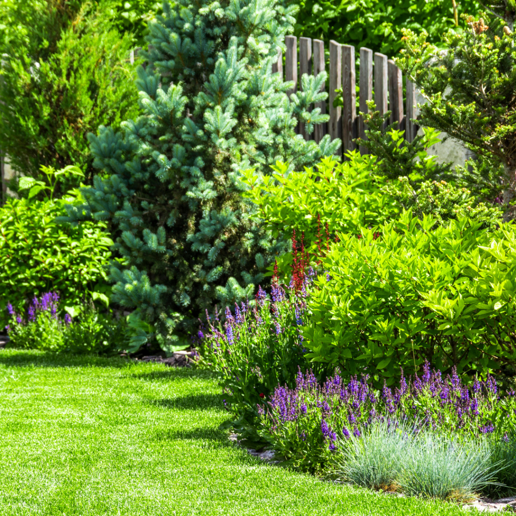 Our Guide to Creating a Flower Garden